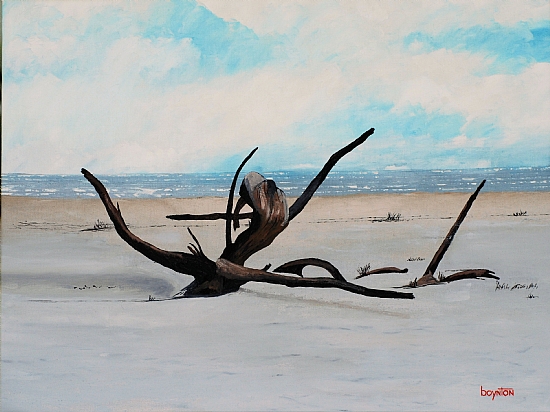 Robert Boynton, Driftwood. Oil on canvas, 18 x 24 inches. ©The Artist