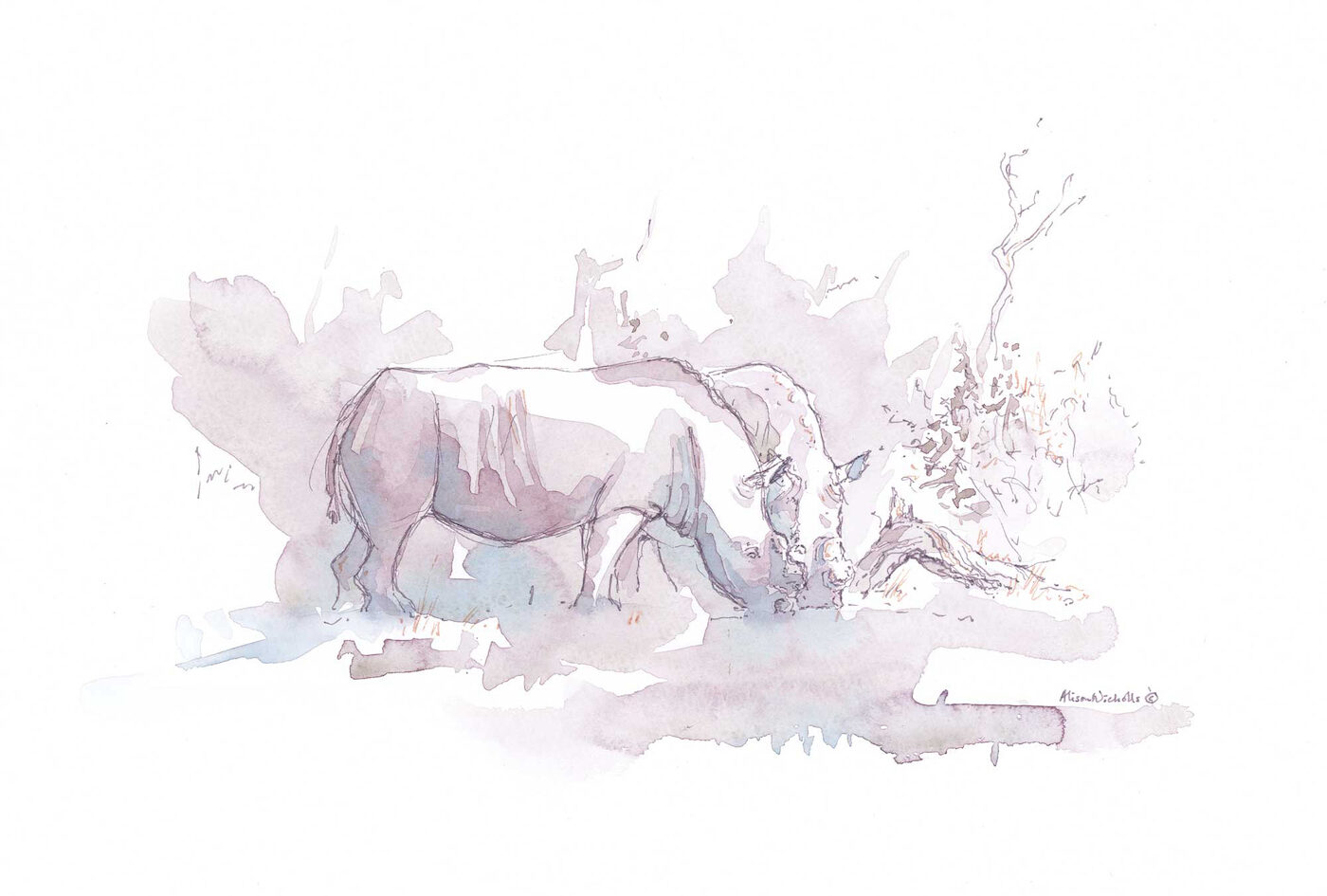 2 white rhinoceros drink together from a waterhole, painted in watercolor and ink by Alison Nicholls.