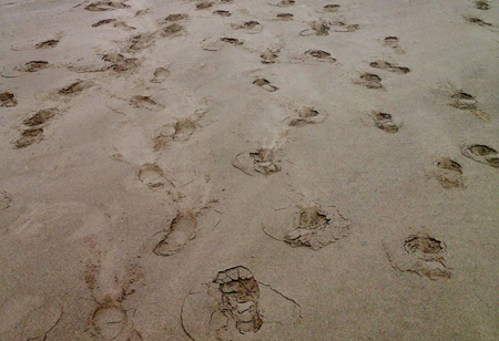My tracks at Nye Beach, OR. Photograph ©Alyson B. Stanfield