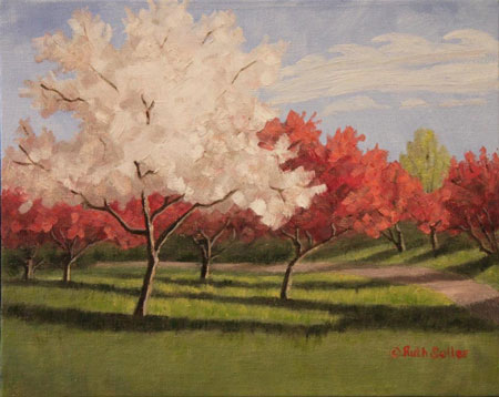 ©Ruth Soller, Blossoming Crabapples, oil, 8x10. Used with permission.