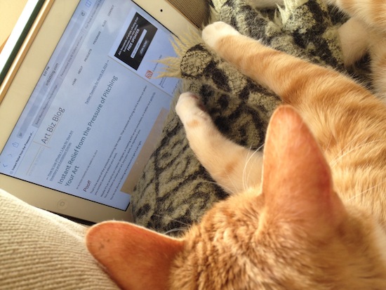 cat with iPad