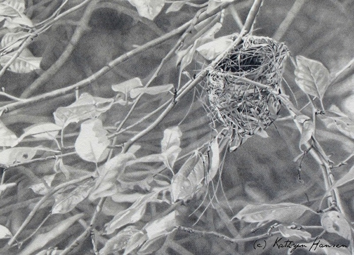©Kathryn Hansen, For Lease. Graphite pencil on paper, 7.5 x 9 inches. Used with permission.