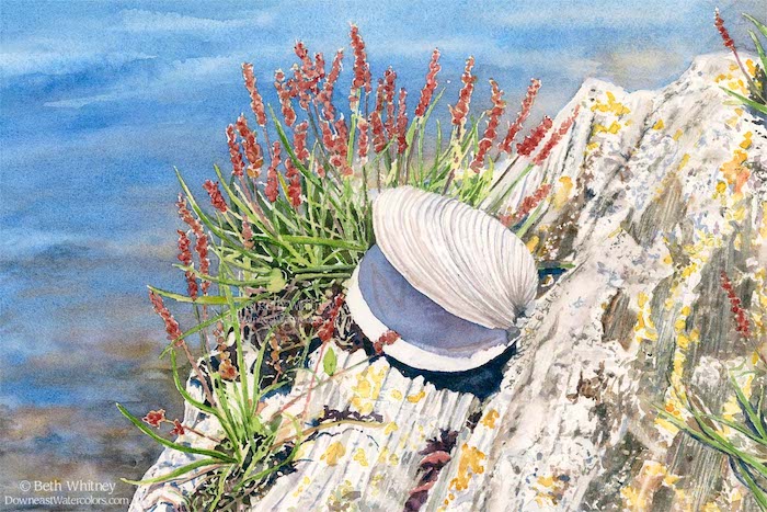 Seaside still life Orr's island Maine 8 x 12 inches © Beth Whitney watercolor painting beach