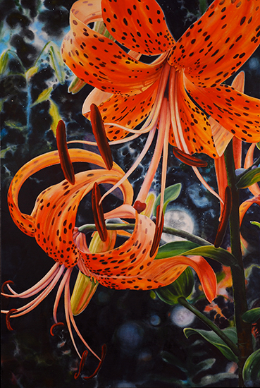 Laura Bethmann image of tiger lilies