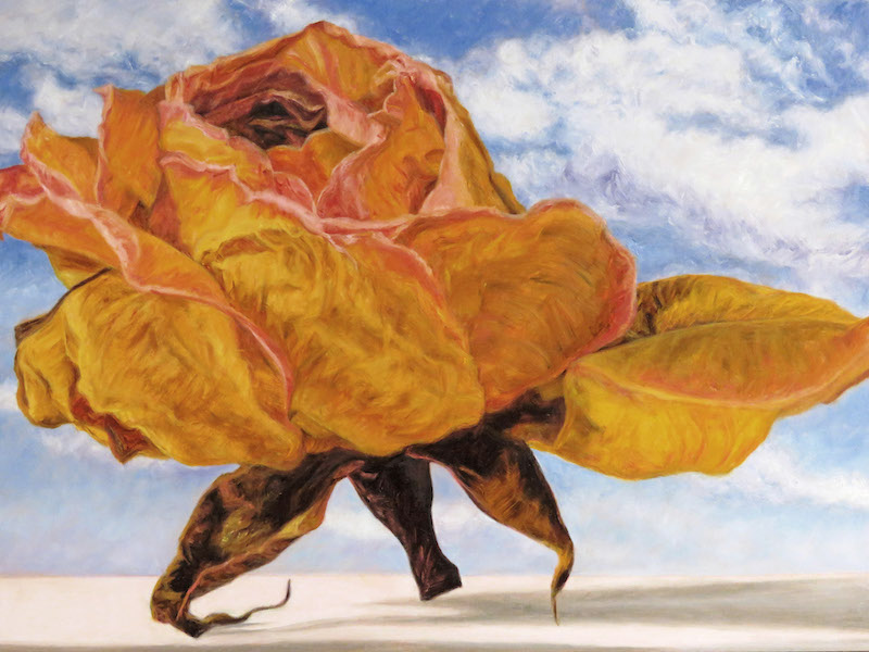 Painting of a yellow rose by Laureen Marchand 