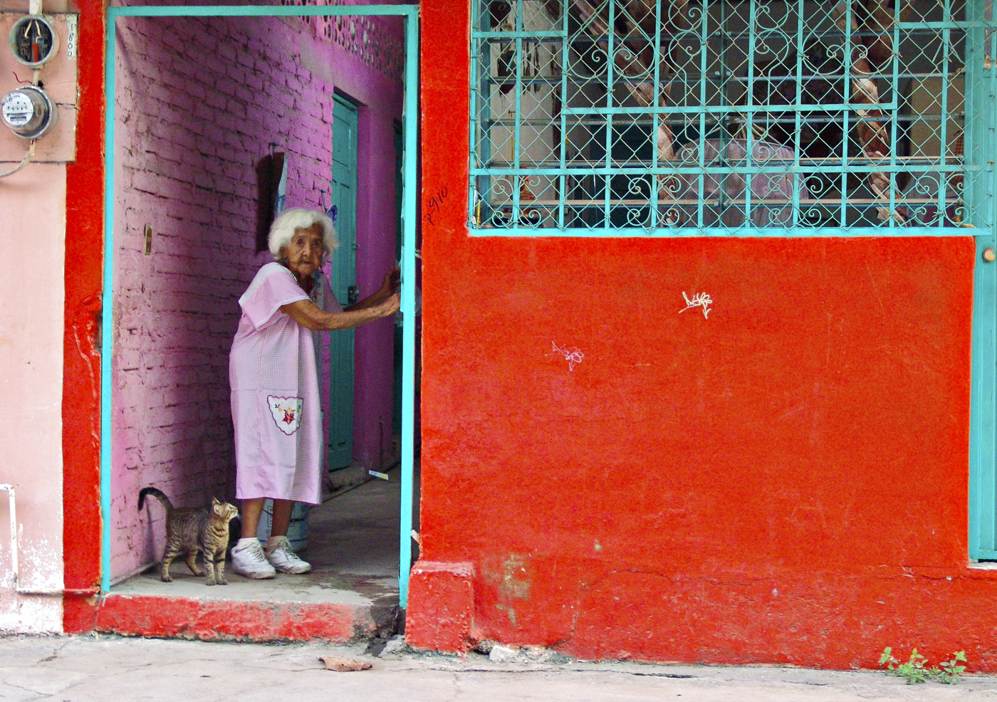©Fred Newman, Woman in Purple with Cat. Photograph. Used with permission. 