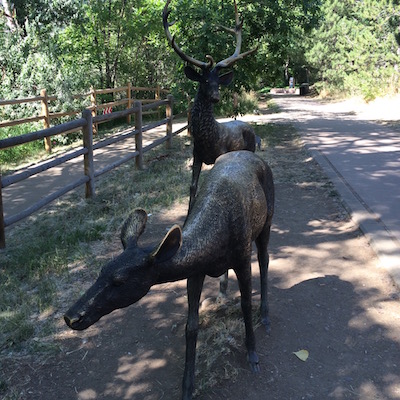 Two Deer - Sculpture in Golden, Colorado