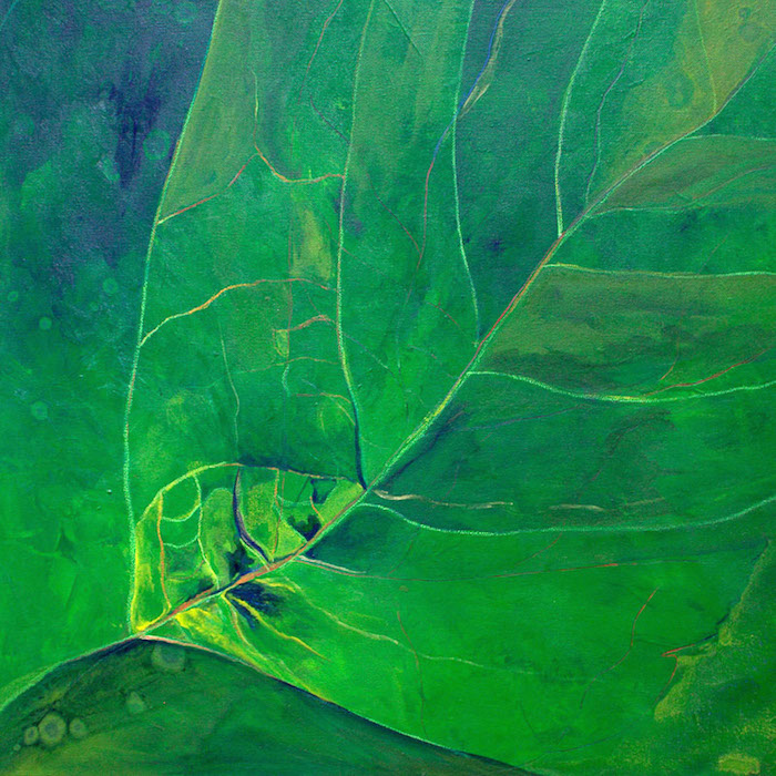 ©Sally Evans, Thrive Leaf. Acrylic, oil pastel on canvas. 24 x 24 inches. Used with permission. 