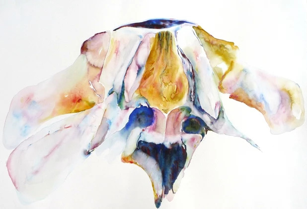 Painting of whale bones by Lisa Goren
