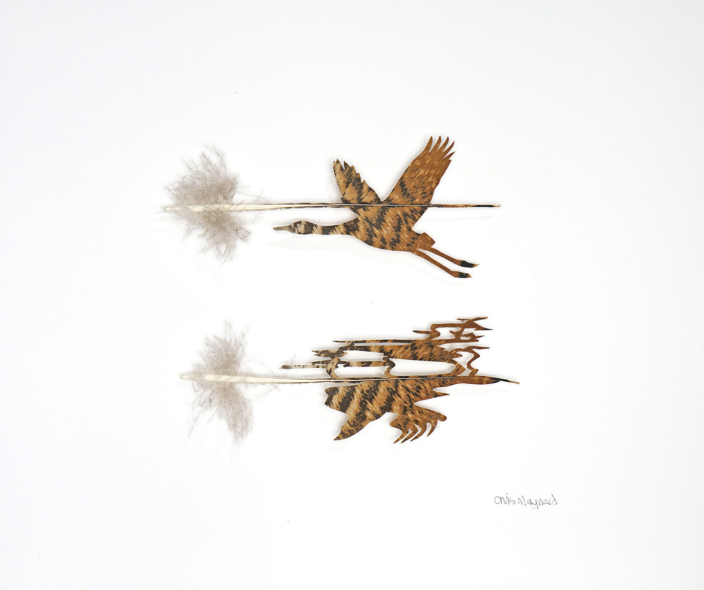 2020 Chris Maynard Reflection No. 5 12x15 inches turkey feather artwork