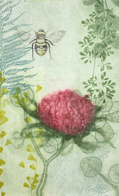 Artist Trudy Rice Bumble Bee and Waratah solar plate etching monotype for Art Biz Success podcast