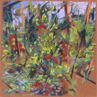 Little Wishes (Garden I - Tomatoes) 7 x 7 inches pastel drawing of garden tomato plants climbing stakes © Kay Sullivan