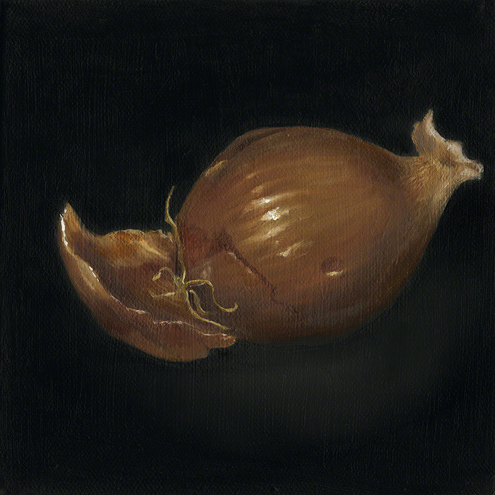 Annette Kaplan oil painting of onion | on Art Biz Success