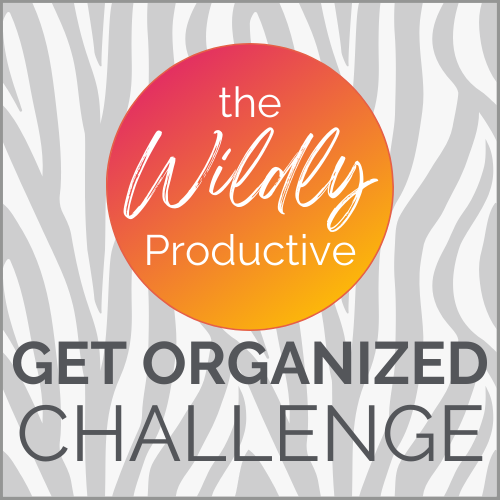 Get Organized Challenge