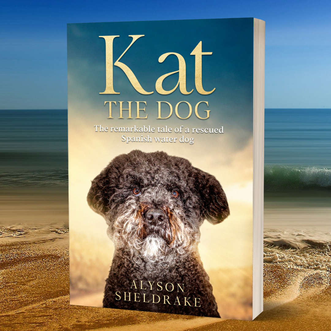 Kat the Dog Alyson Sheldrake