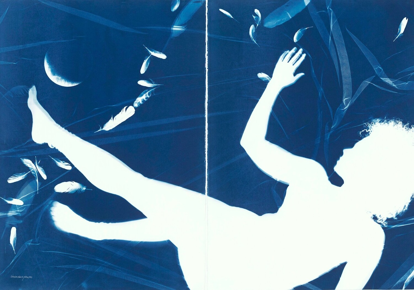 Linda Clark Johnson cyanotype