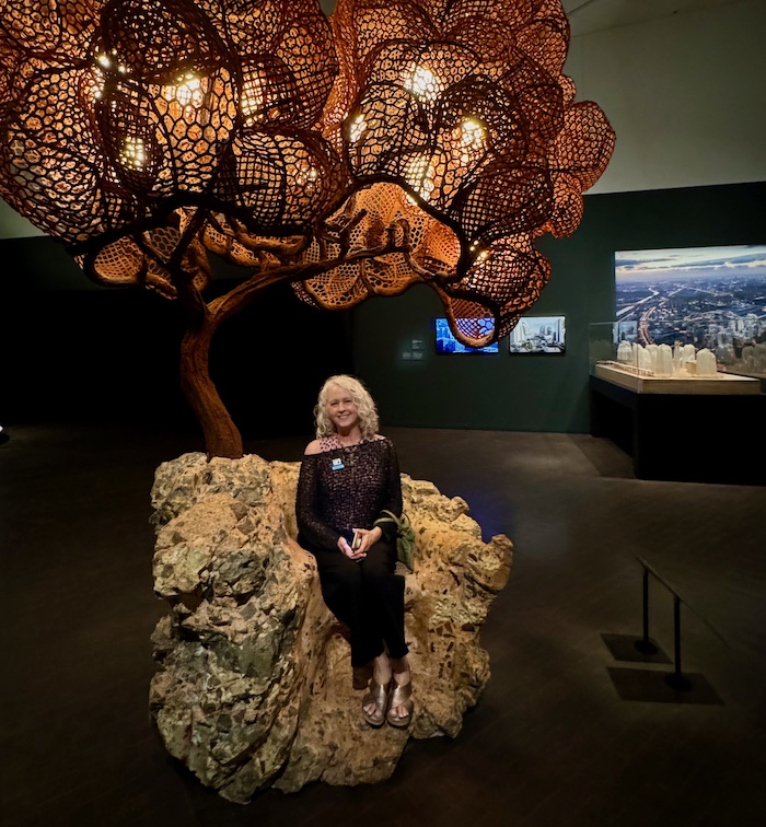 Alyson Stanfield at the design exhibition at the Denver Art Museum 2024.
